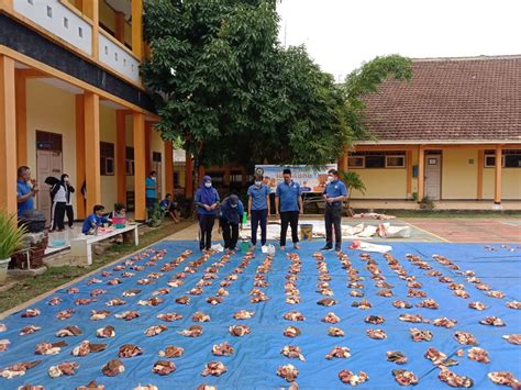 Kegiatan Qurban Di Smk Wikrama 1 Jepara Smk Wikrama 1 Jepara