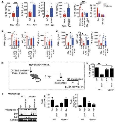 JCI Respiratory Syncytial Virus Infection Exacerbates Pneumococcal