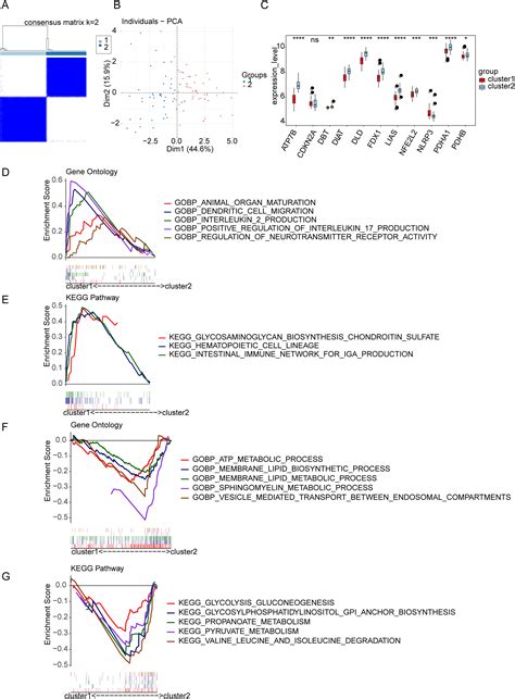 Identification Of Cuproptosis Related Molecular Classification And