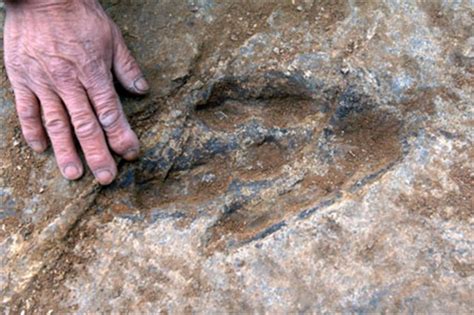 Sulle Orme Dei Dinosauri In Trentino Lettera