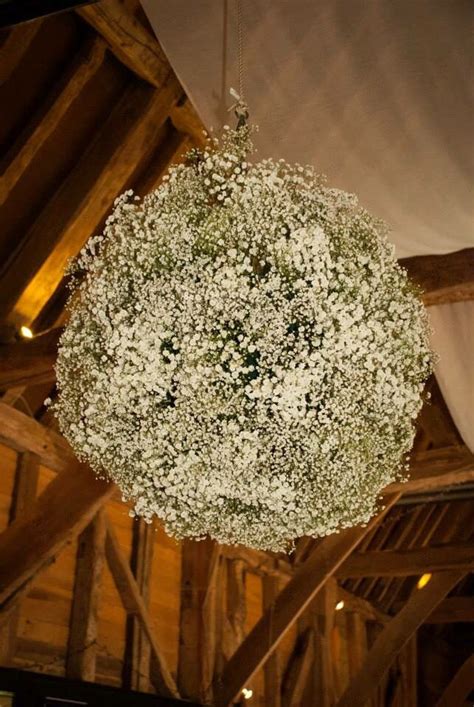 Babies Breath Gypsophila Ball At Michelham Priory Babys Breath