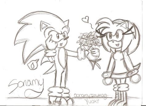 Sonic Gives Amy Roses By Sonamyinukagyuaki On Deviantart