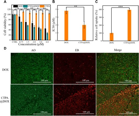 Evaluation Of Biocompatibility And Toxicity A Relative Viability Of