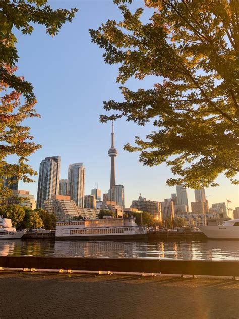 Toronto At Sunset Artofit