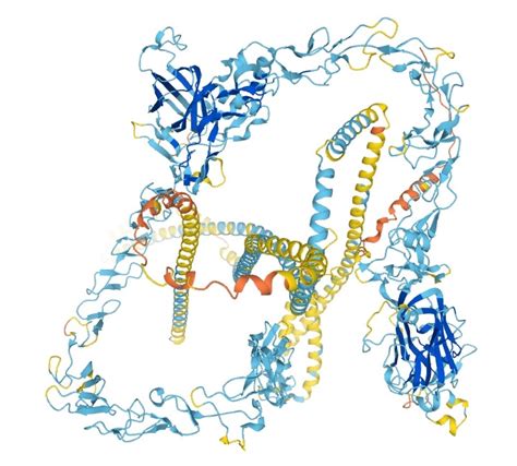 Instructions: Laminin protein information - BioLamina