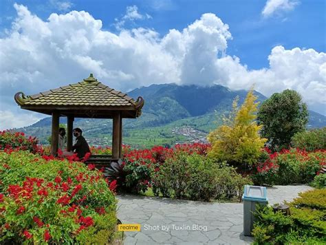 D Garden Cafe Selo Boyolali Hadirkan Sensasi Makan Di Tengah Taman