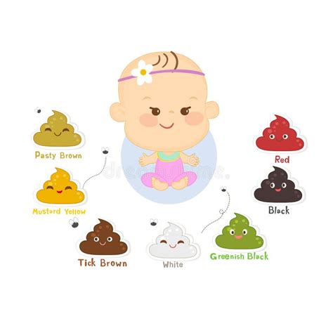 Tipos De Coco Bebe - Vetor Guia De Cores De Cocô Bebê Ilustração do Vetor - Ilustração de ...