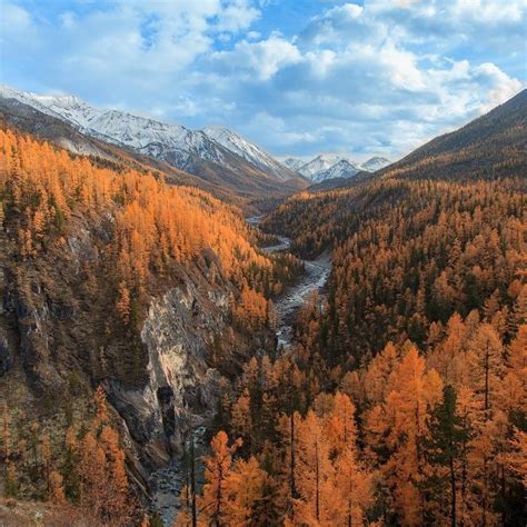 Саяны или Саянские горы — огромное горное пространство в южной части ...