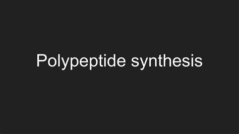 Polypeptide Synthesis | Biology - Year 12 HSC | Thinkswap