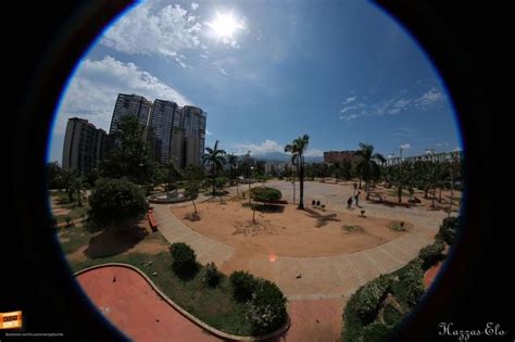 an aerial view of a park with palm trees and buildings in the background, taken through a fish ...