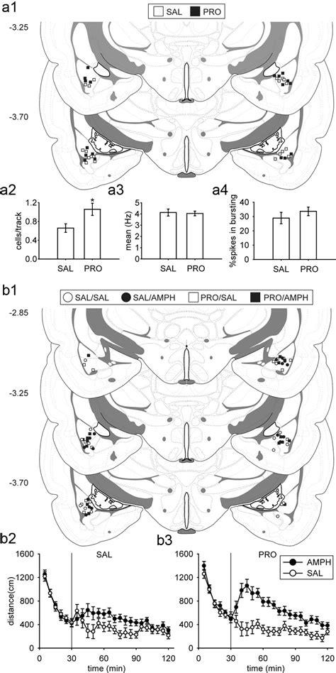 Prerestraint Intra BLA Administration Of The Noradrenergic Receptor