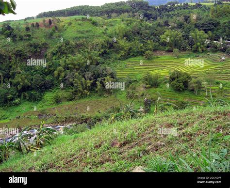 landscape panorama   island negros   philippines