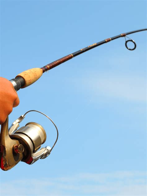 The Most Popular Types Of Fishing Rods Complete Guide Fishing Munk