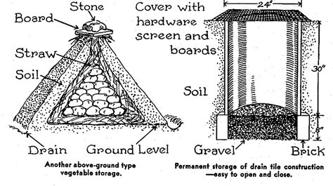 Home Vegetable Storage Crops And Soil Small Farmers Journalsmall