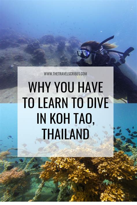 Why You Have To Learn To Dive In Koh Tao Thailand The Travel Scribes