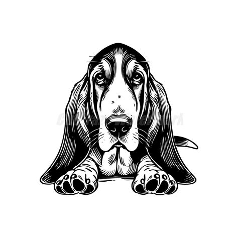 Cute Peeking Basset Hound Dog Svg Dxf And Png Files Instant Digital