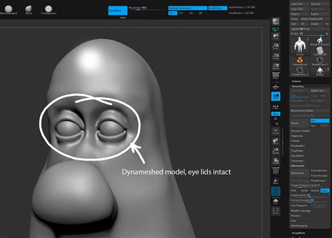 Zbrush Dynamesh To Zremesher Heavy Loss Of Detail Other Software