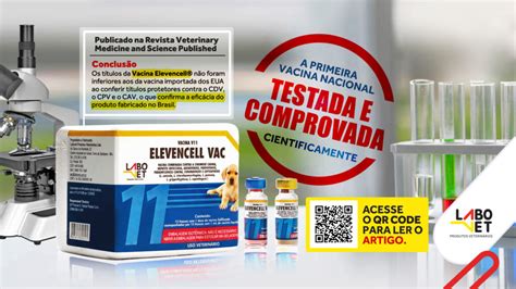 Parainfluenza Canina Como Proteger O Seu Peludo Labovet Produtos