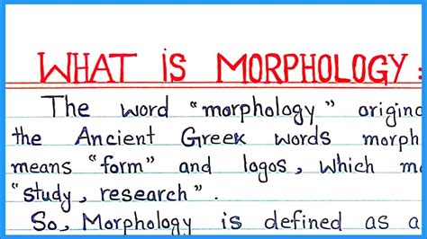 What Is Morphology Define Morphology Youtube