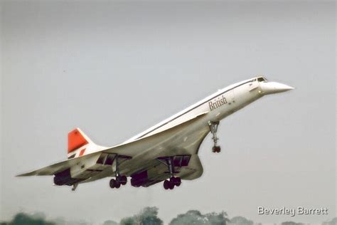 "Concorde - Nose Down" by Beverley Barrett | Redbubble