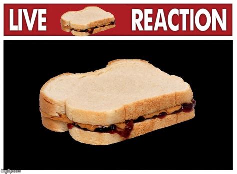 Live Sandwich Reaction Imgflip