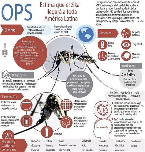 Tratar El Virus Del Zika En La Actualidad Existen Muchos Brotes Del