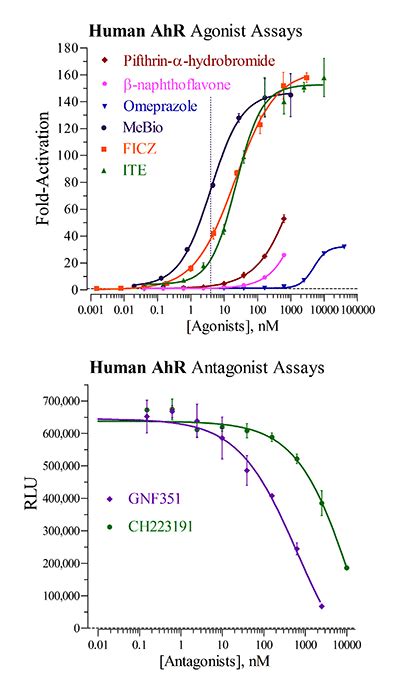 Aryl Hydrocarbon Receptor Assay AhR INDIGO Biosciences