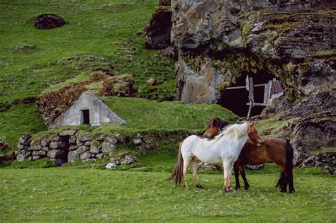 Free Images Grass Field Farm Meadow Countryside Building Barn