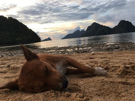 489 Best Cabana Images On Pholder Pan Porn Squared Circle And Romania