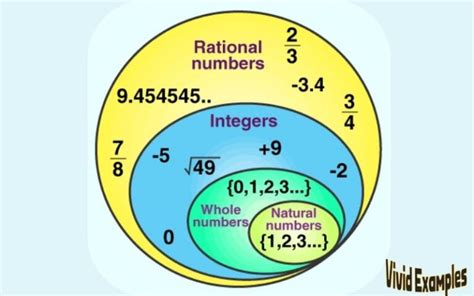 50 Examples Of Rational Numbers Vivid Examples