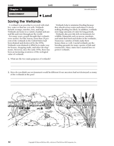 Wetland Activities For Students