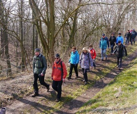 Wanderung Auf Dem S Chsischen Weinwanderweg Sv Elbland Coswig Mei En E V