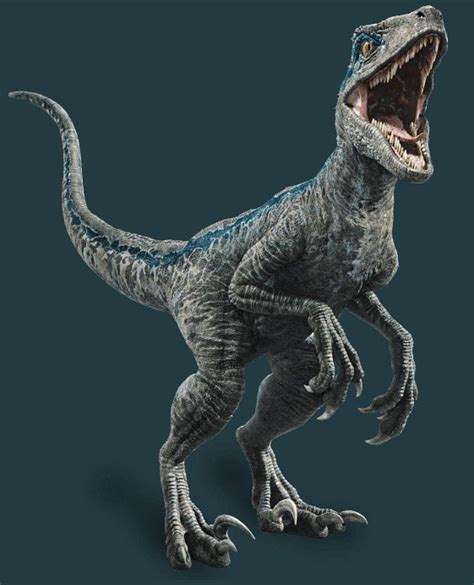 Velociraptor Blue Jurassic World Blue Hd Phone Wallpaper Pxfuel