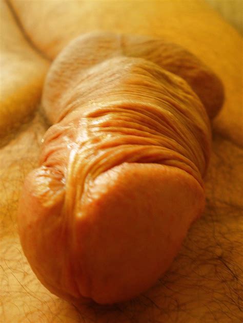 Poland Phallus Porn Pictures XXX Photos Sex Images 487824 PICTOA