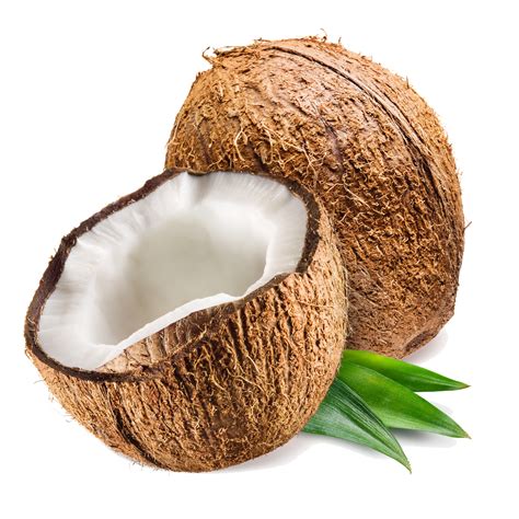 Coconut Png Images Transparent Free Download