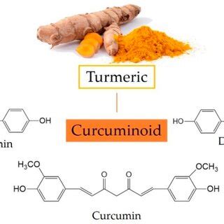 Metabolic Pathways Of Curcumin Oral Administration Mainly Metabolizes