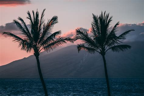 Grand Wailea Waldorf Astoria Maui Breakfast 200 Credit And Guaranteed