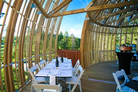Best Restaurant Interior Design Ideas Tree Restaurant Auckland New