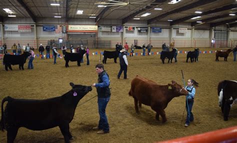 Northeastern Colorado Stock Show helps prepare youth for upcoming ...