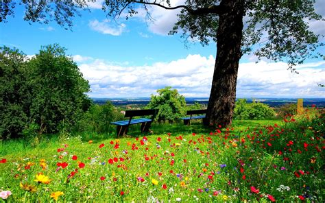 english garden wallpaper 6