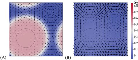 Snapshots of crystalline and amorphous phases growing from nuclei at ... 
