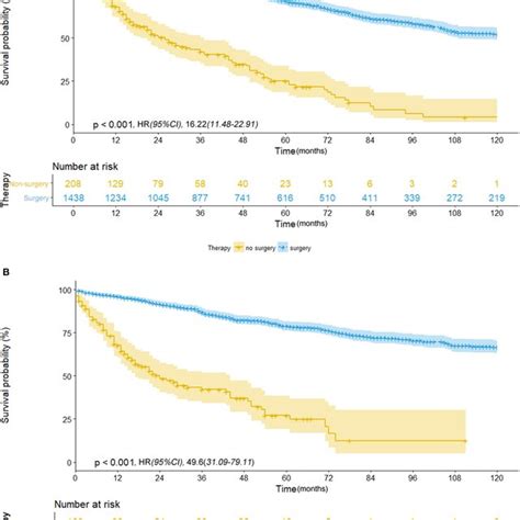 A Overall Survival In Patients With Nsclc Mm Who Received Surgical