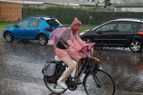 Zeewolde Actueel Nieuws En Live Meldingen Uit Zeewolde