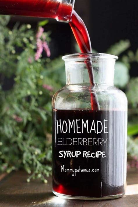 Elderberry Syrup Recipe [VIDEO]