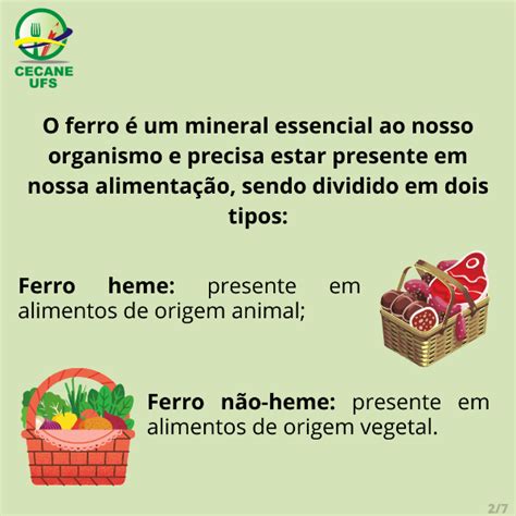 Alimentos Fonte De Ferro No PNAE CECANE UFS