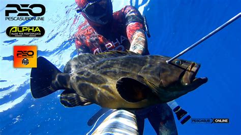 Pesca Sub Cernia Lincontro Con Una Grossa Cernia Agguato Profondo 3