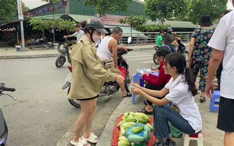 越南姑娘去山上采收白瓜带去市场销售。 越南桃子 越南桃子 哔哩哔哩视频