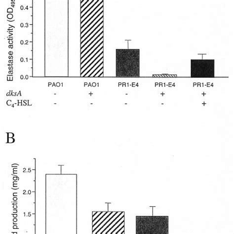 Effect Of DksA On Elastase And Rhamnolipid Production In PAO1 And