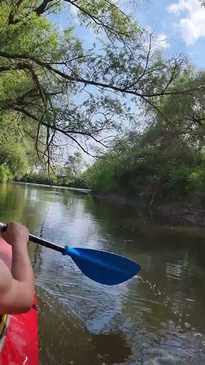 байдаркою по львівських джунглях річка сплав Canoe Youtube