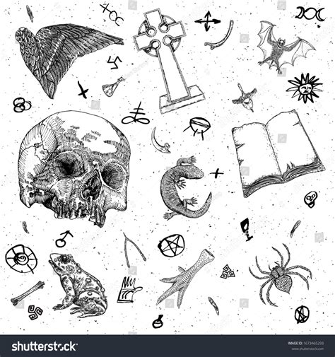 Occult Witch Magic Design Elements Set Stock Vector Royalty Free